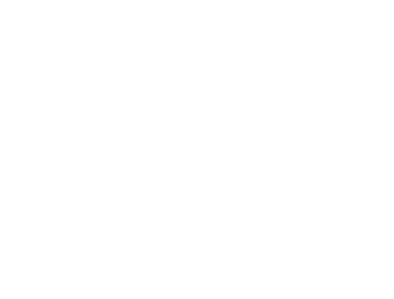 404
